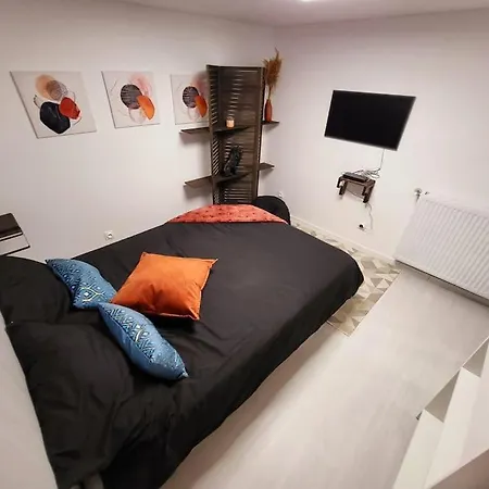 Le Bartayres 1 T3 En Souplex, Terrasse, * Lourdes