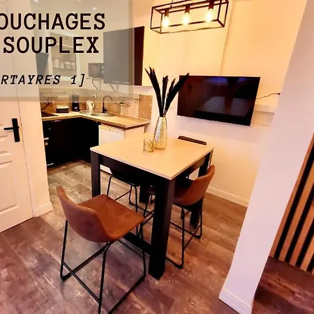 Le Bartayres 1 T3 En Souplex, Terrasse, Apartment Lourdes