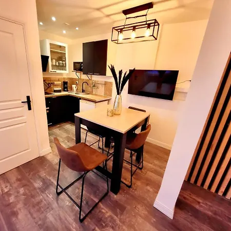 Le Bartayres 1 T3 En Souplex, Terrasse, Lourdes